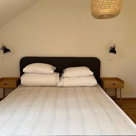 Rugio Namai-rye House Palanga