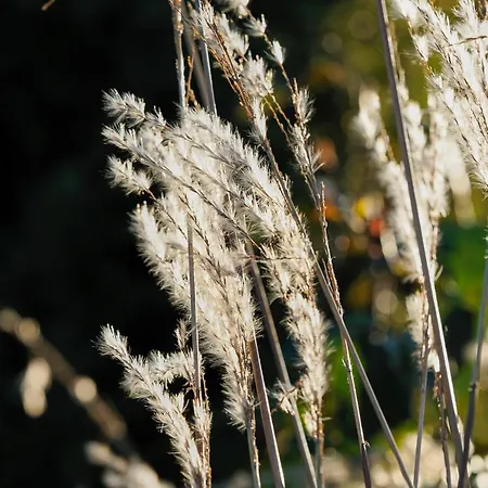 Lägenhet Rugio Namai-rye House *