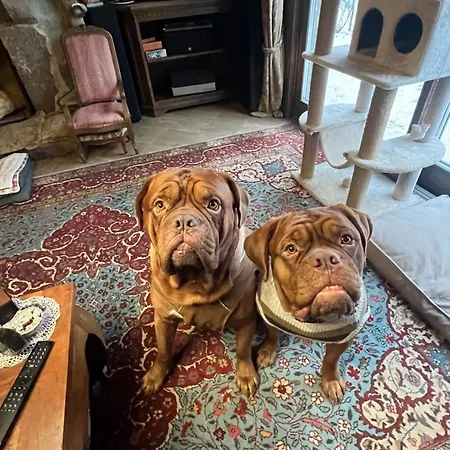 Rugio Namai-rye House