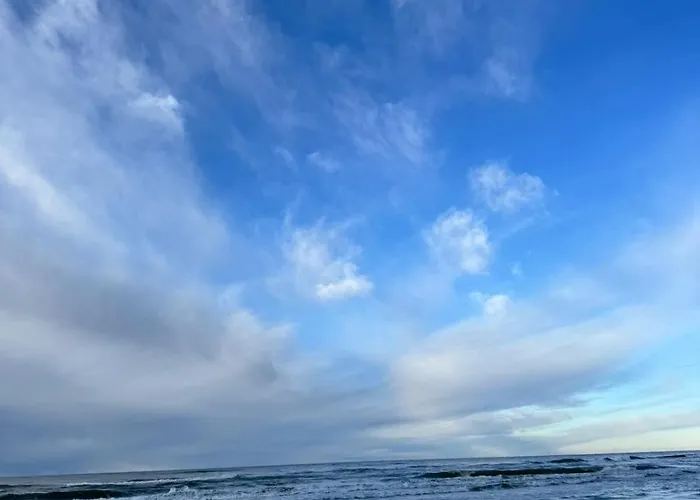 Rugio Namai-rye House Palanga