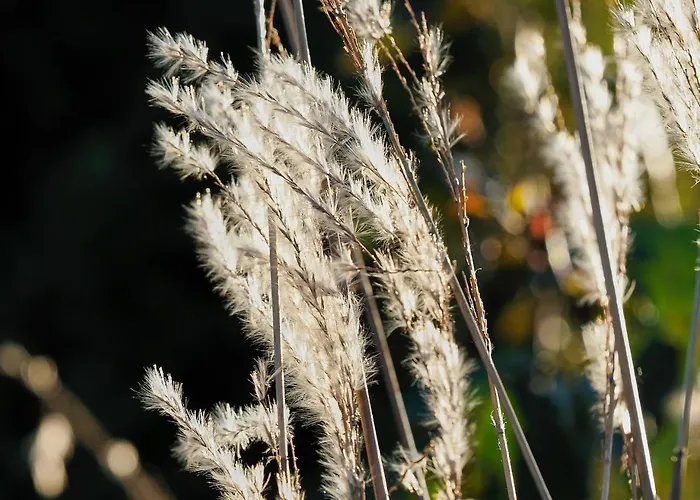 Apartman Rugio Namai-rye House *