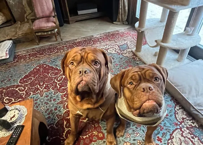 Rugio Namai-rye House